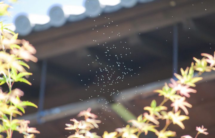 旅は無限である。これは物理的な話だ。